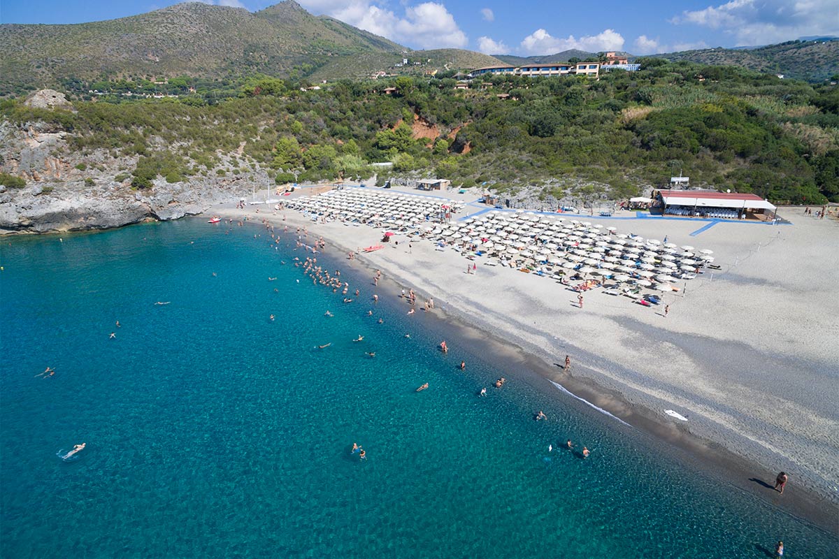 Mare