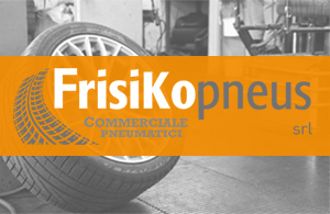 FRISIKO PNEUS