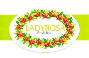 ARANCIA LADYROSA Azienda Agricola Blandini Giovanni