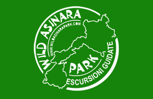 ESCURSIONI ASINARA WILD ASINARA PARK