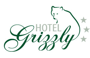 Hotel Grizzly