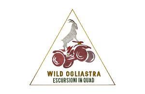 Wildogliastra escursioni in quad